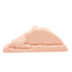CRAZY BULL Vibrating Spread Torso - Flesh Vibrating Spread Torso Masturbator - Image 4