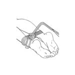 Adam & Eve BONDAGE ROPE - 3 metre (10 feet) - Black Bondage Rope - 3 metre Length - Image 4