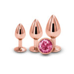 Rear Assets Trainer Kit - Rose Gold - Pink - Rose Gold Metallic Butt Plugs with Pink Gems - Set of 3 Sizes - Image 3