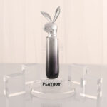 Playboy Pleasure BUNNY ON THE GO - Black/Chrome 18.6 cm USB-C Rechargeable Vibrator - Image 7