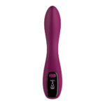 Passion Play G-Spot Vibrator with LED Screen - Purple 19.2 cm USB Rechargeable G-Spot Vibrator - Image 3