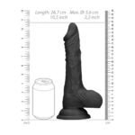 REALROCK 10'' Realistic Dong with Balls - Black - Black 25.4 cm Dong - Image 8