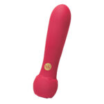 Secret Kisses ROSEGASM Lush Bliss Bullet - Red 10.8 cm USB Rechargeable Bullet - Image 4