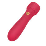 Secret Kisses ROSEGASM Floral Boost Bullet - Red 10.8 cm USB Rechargeable Bullet - Image 3