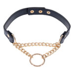 Sex & Mischief Cougar Day Collar