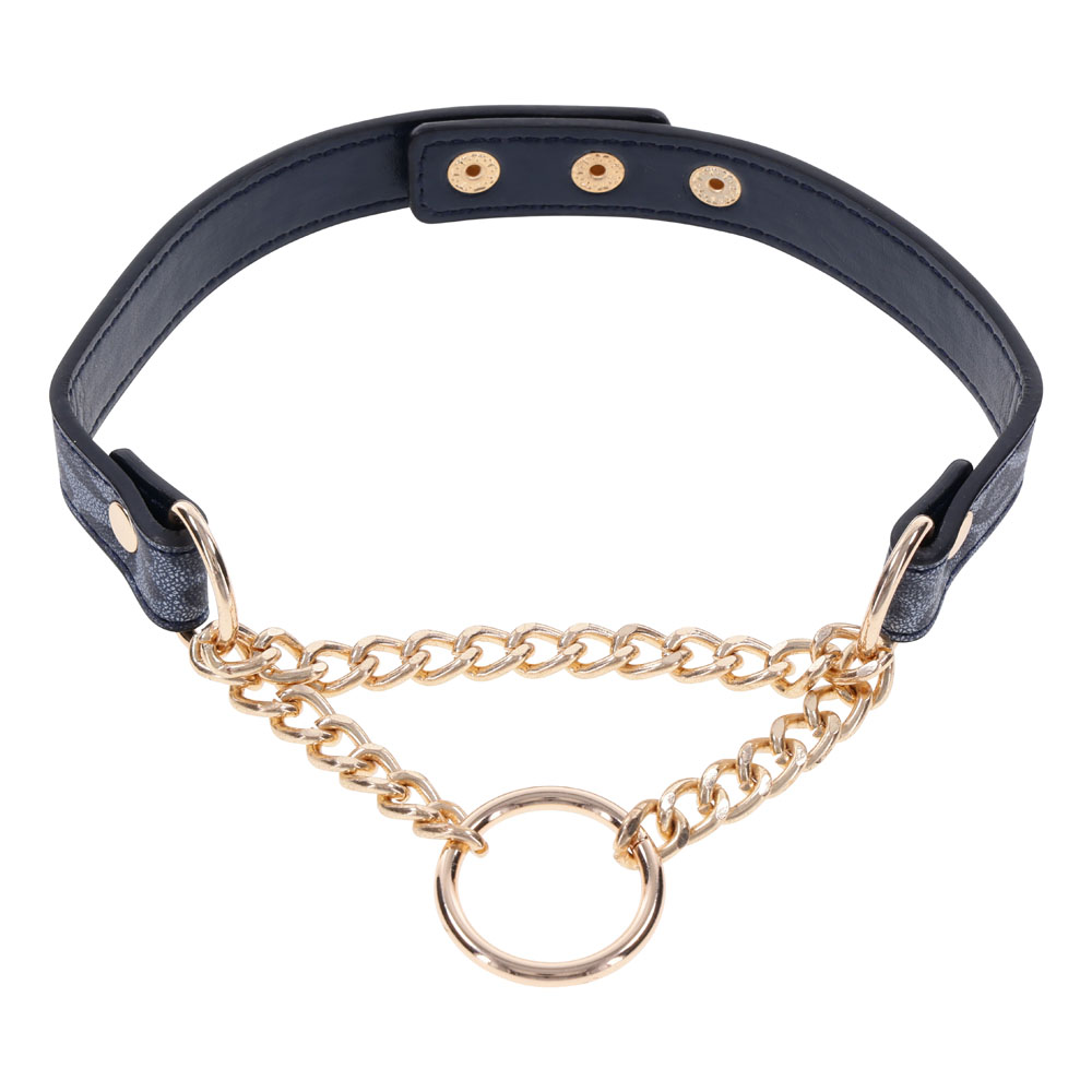 ss09974 Sex & Mischief Cougar Day Collar